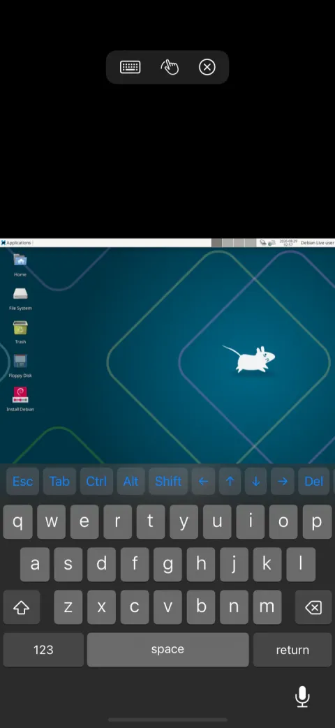 A Linux VM desktop in Saffron SPICE on iPhone